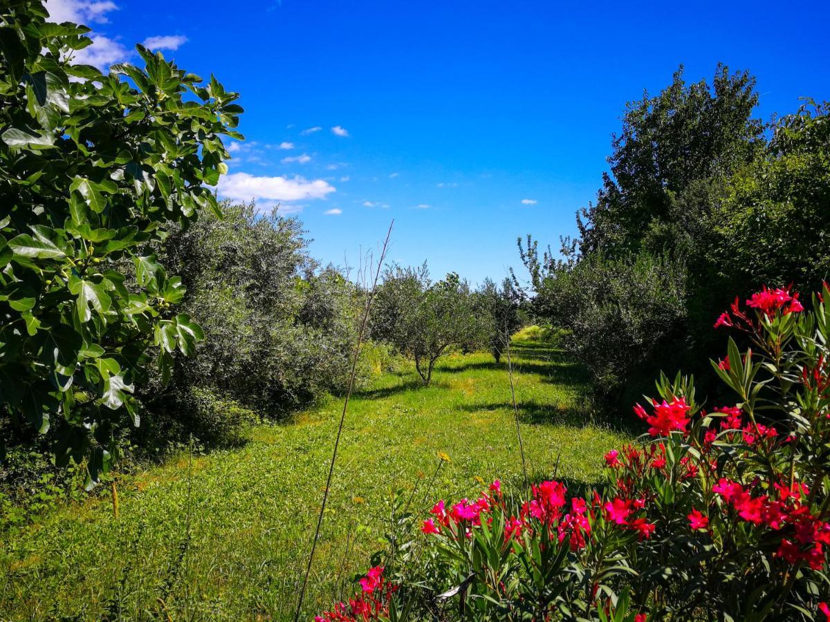 Ecohouse Oliveglia Villa Šilo Dış mekan fotoğraf