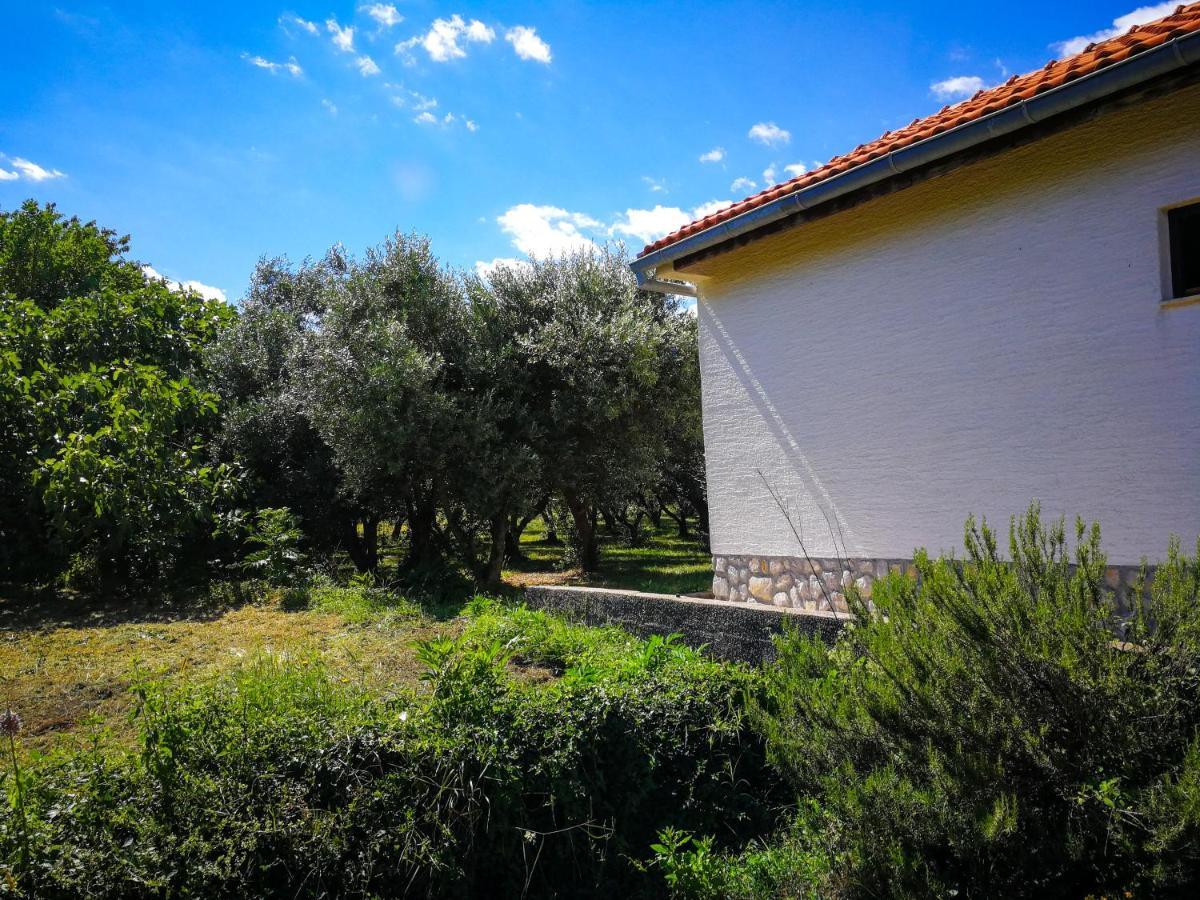 Ecohouse Oliveglia Villa Šilo Dış mekan fotoğraf